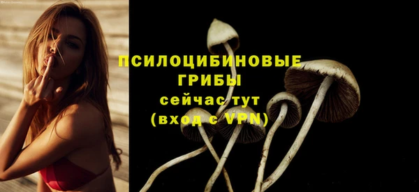 скорость mdpv Вяземский